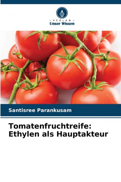 Tomatenfruchtreife