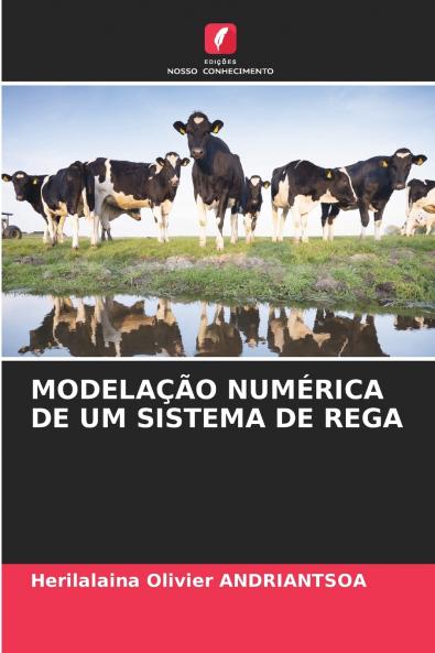 MODELAÇÃO NUMÉRICA DE UM SISTEMA DE REGA
