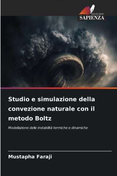 Studio e simulazione della convezione naturale con il metodo Boltz