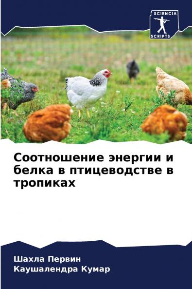 ??????????? ??????? ? ????? ? ???????????? ? ????????