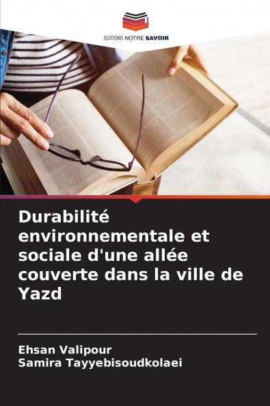 Durabilité environnementale et sociale d'une allée couverte dans la ville de Yazd