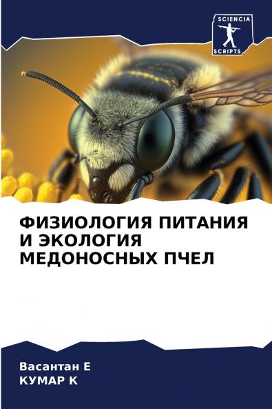 ?????????? ??????? ? ???????? ?????????? ????