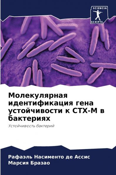 ???????????? ????????????? ???? ???????????? ? CTX-M ? ?????????