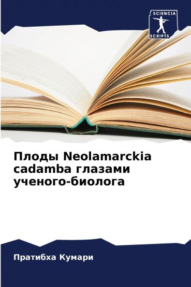 ????? Neolamarckia cadamba ??????? ???????-???????
