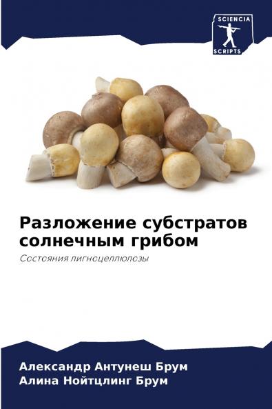 ?????????? ?????????? ????????? ??????