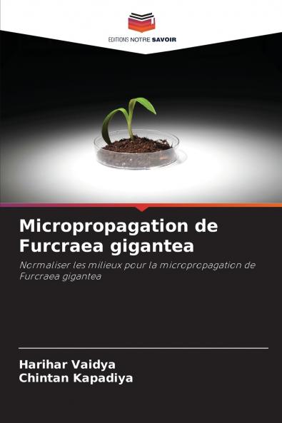 Micropropagation de Furcraea gigantea