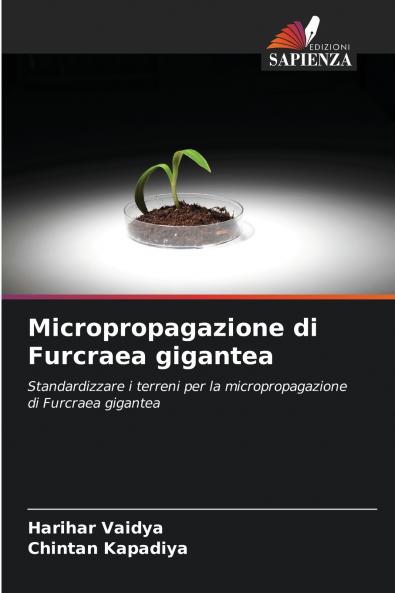 Micropropagazione di Furcraea gigantea