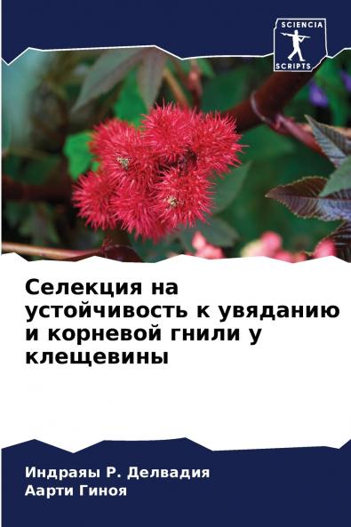 ???????? ?? ???????????? ? ???????? ? ???????? ????? ? ?????????