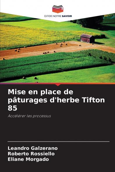 Mise en place de pâturages d'herbe Tifton 85