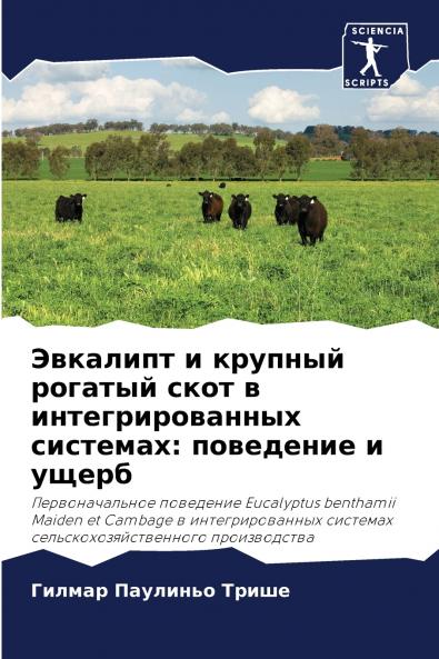 ???????? ? ??????? ??????? ???? ? ??????????????? ????????