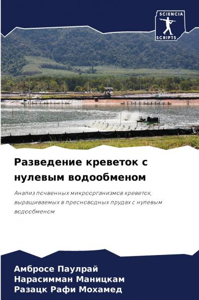 ?????????? ???????? ? ??????? ???????????