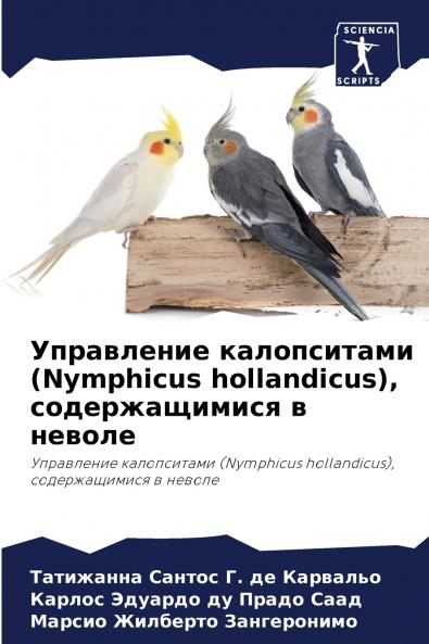 ?????????? ??????????? (Nymphicus hollandicus) ????????????? ? ??????