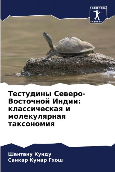 ????????? ??????-????????? ?????