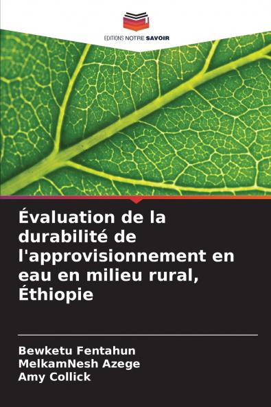 Évaluation de la durabilité de l'approvisionnement en eau en milieu rural Éthiopie