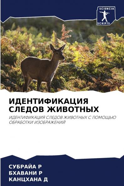 ????????????? ?????? ????????