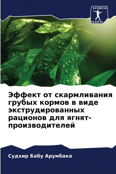 ?????? ?? ???????????? ?????? ?????? ? ???? ???????????????? ???????? ??? ?????-??????????????