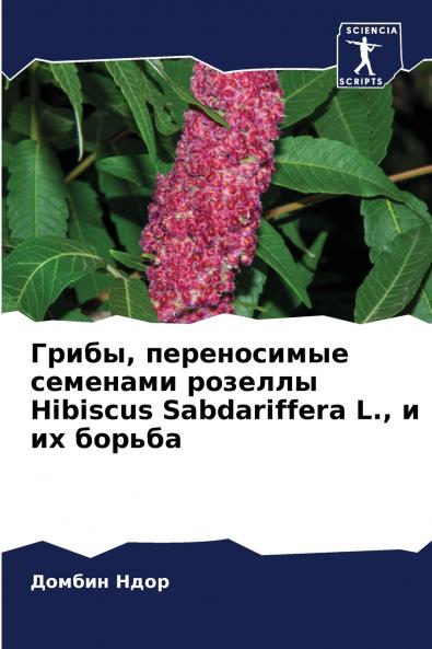 Грибы переносимые семенами розеллы Hibiscus Sabdariffera L. и их борьба