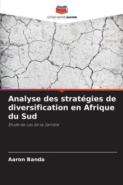 Analyse des stratégies de diversification en Afrique du Sud
