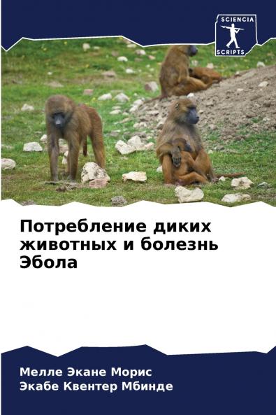 ??????????? ????? ???????? ? ??????? ?????