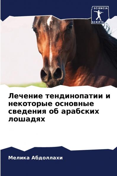 ??????? ???????????? ? ????????? ???????? ???????? ?? ???????? ???????