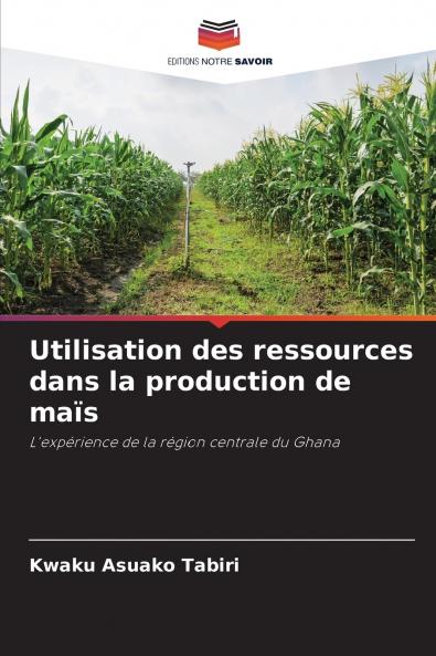 Utilisation des ressources dans la production de maïs