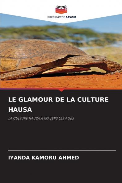 LE GLAMOUR DE LA CULTURE HAUSA