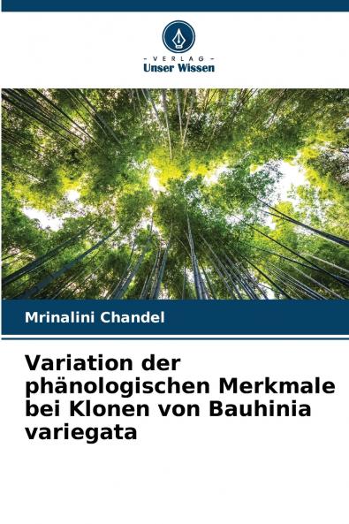 Variation der phänologischen Merkmale bei Klonen von Bauhinia variegata