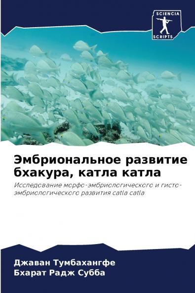 ????????????? ???????? ??????? ????? ?????