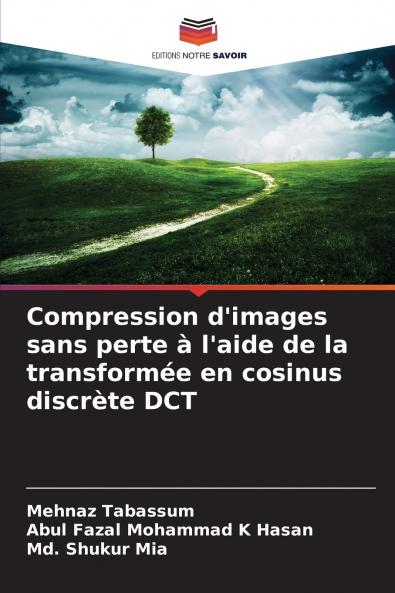 Compression d'images sans perte à l'aide de la transformée en cosinus discrète DCT