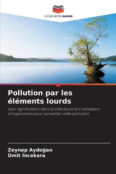 Pollution par les éléments lourds