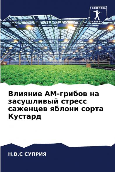 ??????? ??-?????? ?? ?????????? ?????? ???????? ?????? ????? ???????