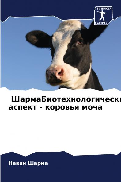 ??????????????????????? ?????? - ??????? ????