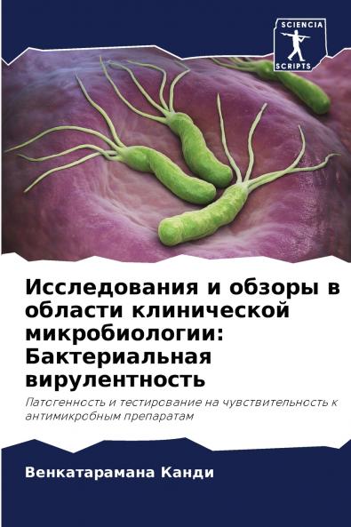 ???????????? ? ?????? ? ??????? ??????????? ?????????????