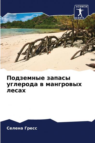 ????????? ?????? ???????? ? ????????? ?????