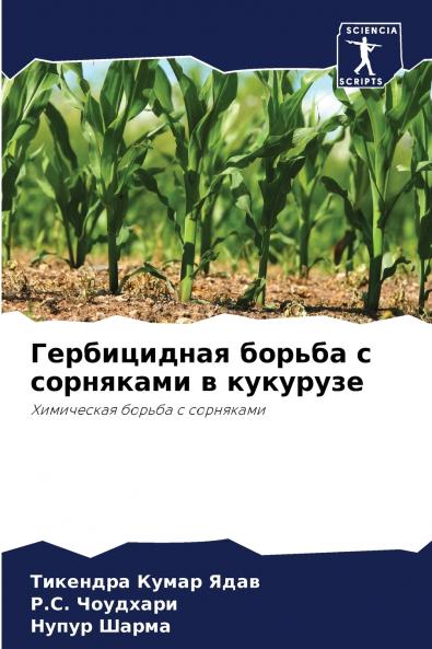 ??????????? ?????? ? ????????? ? ????????