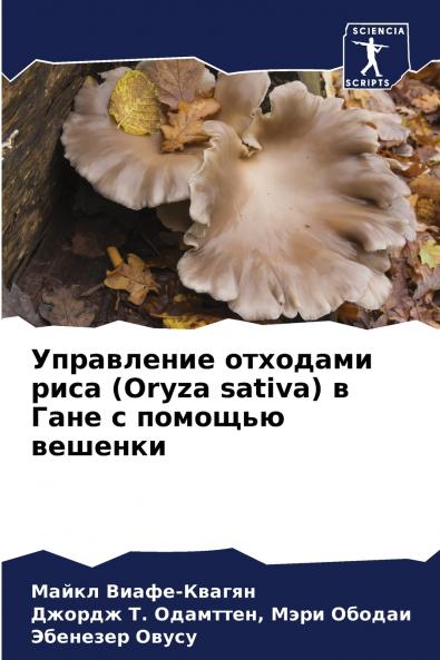 Управление отходами риса (Oryza sativa) в Гане с помощью вешенки