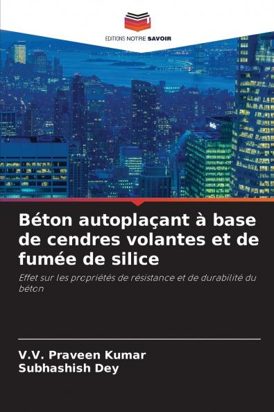 Béton autoplaçant à base de cendres volantes et de fumée de silice