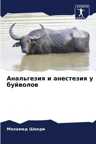 Анальгезия и анестезия у буйволов