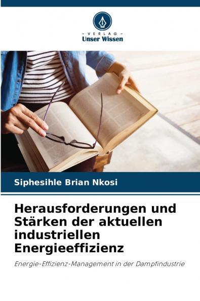 Herausforderungen und Stärken der aktuellen industriellen Energieeffizienz