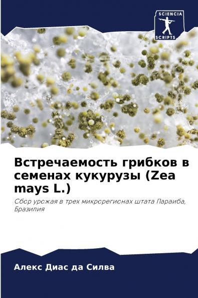 ????????????? ??????? ? ??????? ???????? (Zea mays L.)