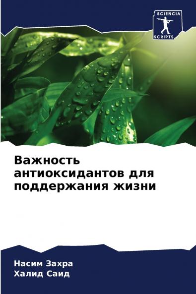 ???????? ?????????????? ??? ??????????? ?????