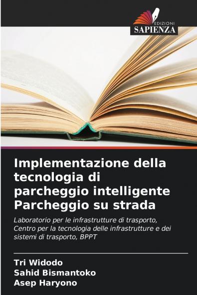 Implementazione della tecnologia di parcheggio intelligente Parcheggio su strada