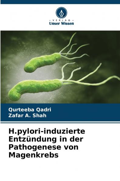 H.pylori-induzierte Entzündung in der Pathogenese von Magenkrebs