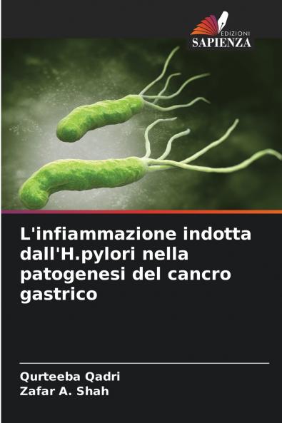 L'infiammazione indotta dall'H.pylori nella patogenesi del cancro gastrico