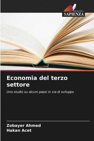 Economia del terzo settore