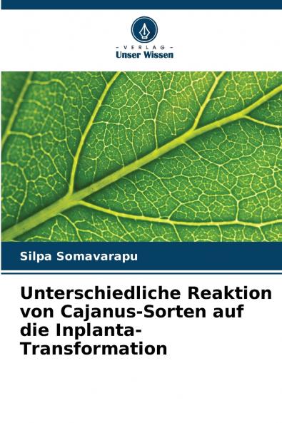 Unterschiedliche Reaktion von Cajanus-Sorten auf die Inplanta-Transformation
