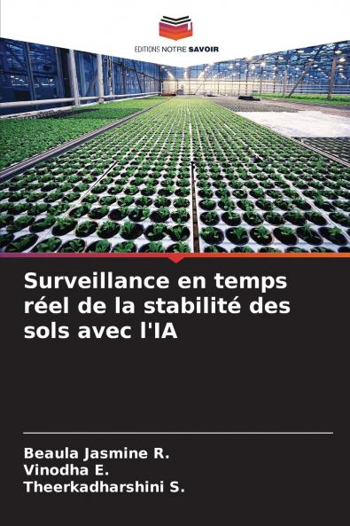 Surveillance en temps réel de la stabilité des sols avec l'IA