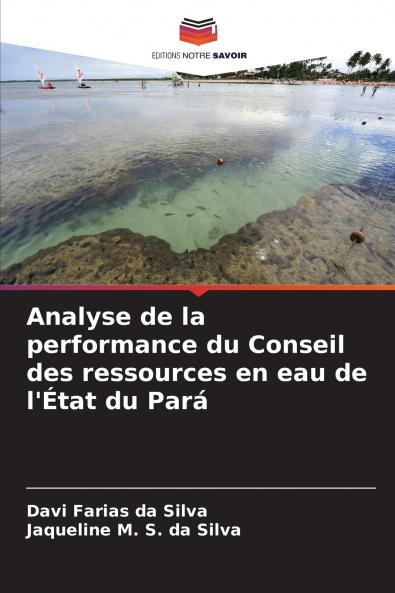 Analyse de la performance du Conseil des ressources en eau de l'État du Pará