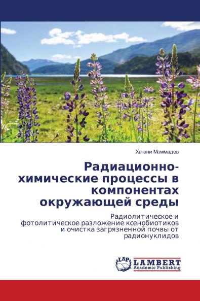 Радиационно-химические процессы в компонентах окружающей среды