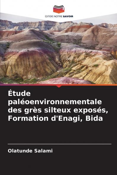 Étude paléoenvironnementale des grès silteux exposés Formation d'Enagi Bida